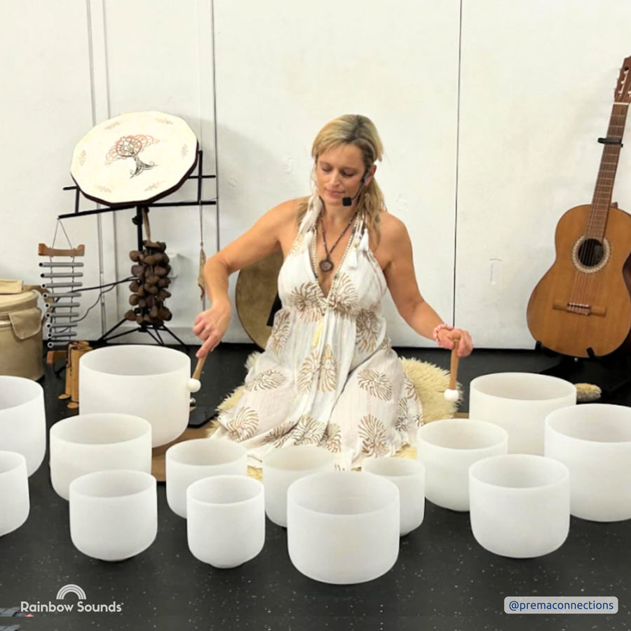 Set of 9 White Sound Therapy Bowls in Beige Carry-On Cases