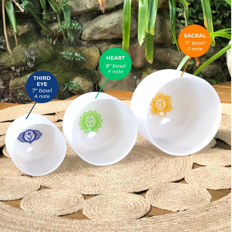 Set of 3 White Sound Therapy Bowls in Beige Case